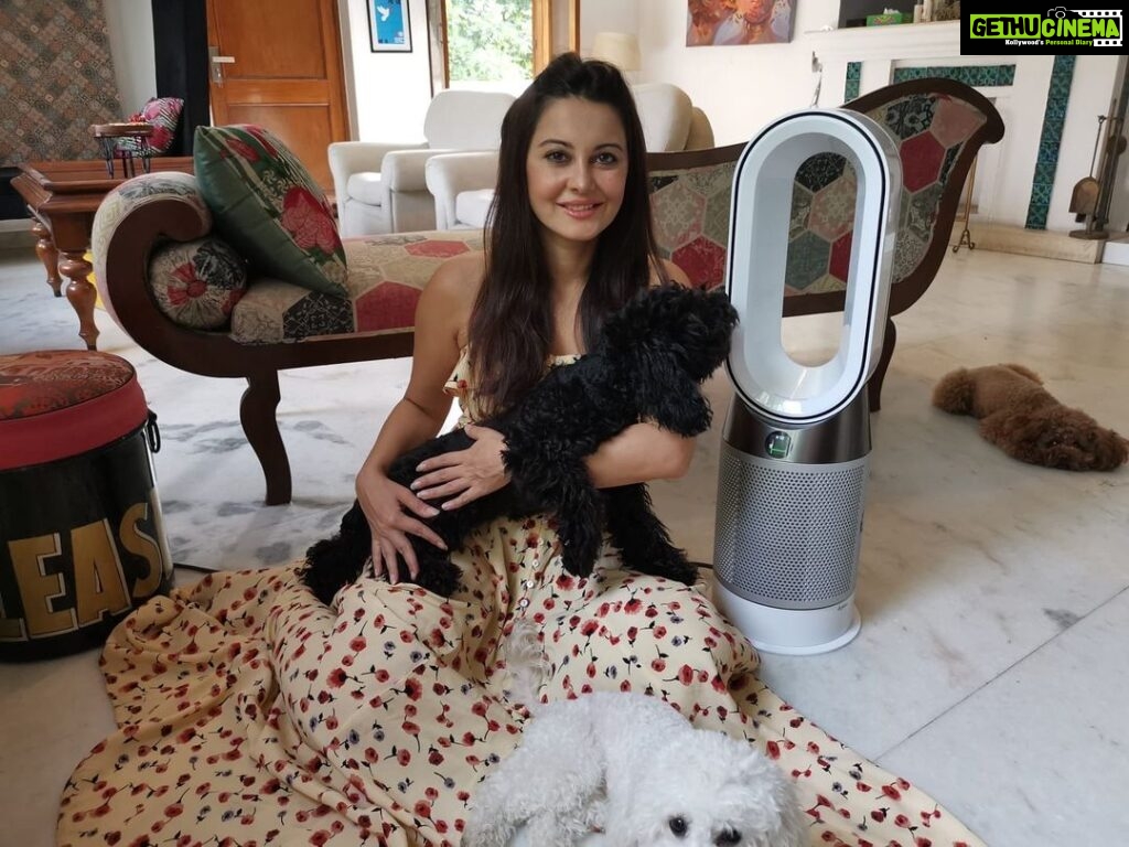 Minissha Lamba Instagram - Say hello to not only my, but my pets’ favourite as well- The Dyson pure Hot+Cool purifier It purifies the air around plus he’s a great pal to have on hot summer days. The Dyson’s Cooling Features are really Cool 😎 We’ve all fallen in love… Especially 6 month old Gigi, who is fascinated with the Dyson’s Cooling Blower 🥰 @dyson_india #ProperPurification#DysonIndia#DysonHealthyHomes Mumbai, Maharashtra
