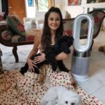 Minissha Lamba Instagram – Say hello to not only my, but my pets’ favourite as well- The Dyson pure Hot+Cool purifier 

It purifies the air around plus he’s a great pal to have on hot summer days. The Dyson’s Cooling Features are really Cool 😎

We’ve all fallen in love… Especially 6 month old Gigi, who is fascinated with the Dyson’s Cooling Blower 🥰 

@dyson_india

#ProperPurification#DysonIndia#DysonHealthyHomes Mumbai, Maharashtra