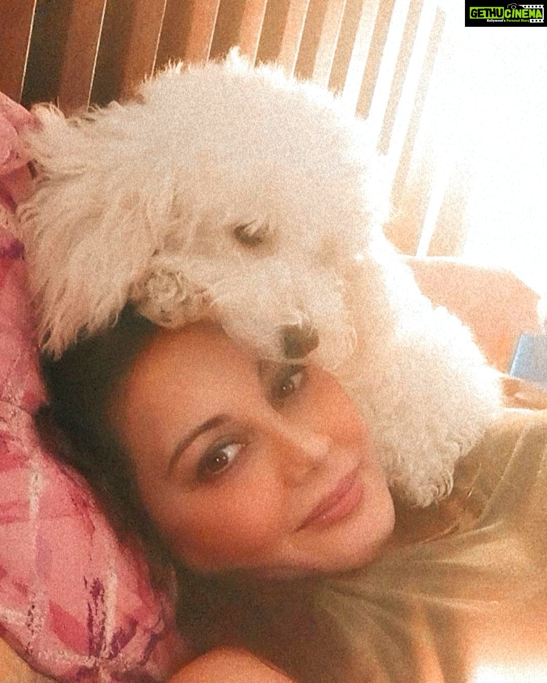 Minissha Lamba Instagram - This Hooman is mine - Kiki