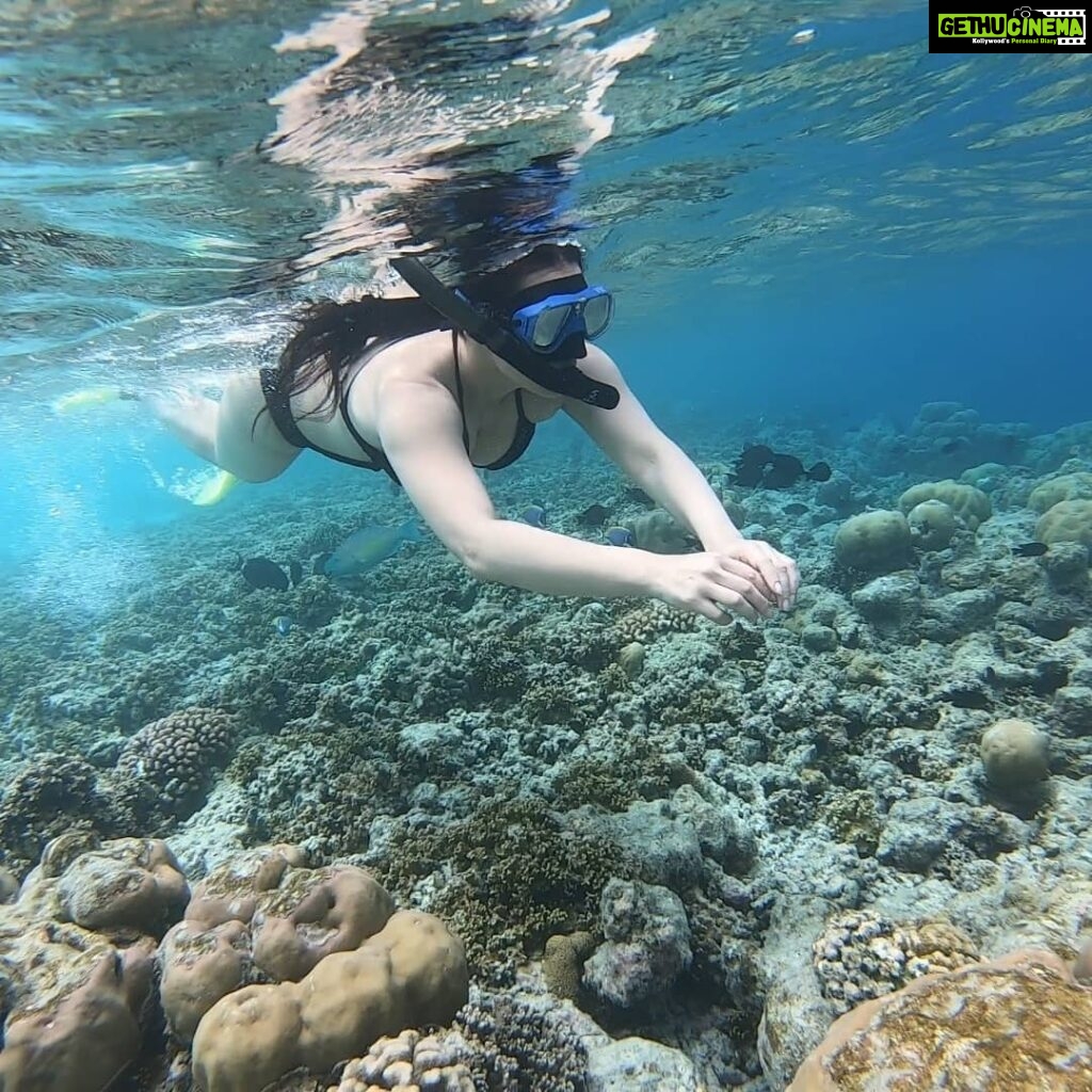 Minissha Lamba Instagram - Snorkeling in the beautiful waters of @hideawaybeachmaldives Thank you Ameen for the guidance and beautiful shots.. @hideawaybeachmaldives @rupalidean #myhideaway #hideawaybeachmaldives #maldiveshideaway #watersports #snorkelling Hideaway Beach Resort & Spa Maldives