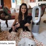 Minissha Lamba Instagram - Summer is here.. and it’s time to get my Dyson Pure Hot + Cool Purifier back in action. Purified Air Sleek Design ( as all Dyson products are) Optimal Utilisation of Space, in our Compact Mumbai Apartments The biggest fans ( pun unintended) are my sweet lil girls, who are glued to it all day! @dyson_india … thank you for sending this last year… it’s going to my all-year companion.. for years to come #ProperPurification #DysonIndia #DysonHealthyHomes Mumbai, Maharashtra
