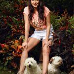 Minissha Lamba Instagram - Hi my cute lil muffins.. #chloe #zoey . . . . . . . . . . . . #dogstagram #doggo #dogsofinstagram #shitzu #shitzusofinstagram #shitzulovers #cute #puppy #puppylove #puppiesofinstagram #maltipoo
