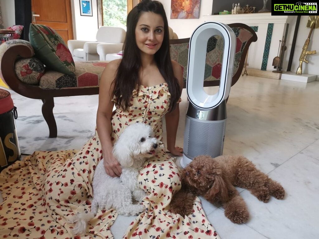 Minissha Lamba Instagram - Say hello to not only my, but my pets’ favourite as well- The Dyson pure Hot+Cool purifier It purifies the air around plus he’s a great pal to have on hot summer days. The Dyson’s Cooling Features are really Cool 😎 We’ve all fallen in love… Especially 6 month old Gigi, who is fascinated with the Dyson’s Cooling Blower 🥰 @dyson_india #ProperPurification#DysonIndia#DysonHealthyHomes Mumbai, Maharashtra