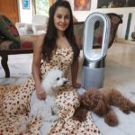Minissha Lamba Instagram - Say hello to not only my, but my pets’ favourite as well- The Dyson pure Hot+Cool purifier It purifies the air around plus he’s a great pal to have on hot summer days. The Dyson’s Cooling Features are really Cool 😎 We’ve all fallen in love… Especially 6 month old Gigi, who is fascinated with the Dyson’s Cooling Blower 🥰 @dyson_india #ProperPurification#DysonIndia#DysonHealthyHomes Mumbai, Maharashtra