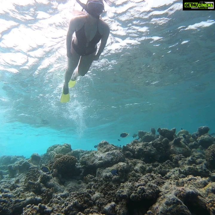 Minissha Lamba Instagram - Snorkeling in the beautiful waters of @hideawaybeachmaldives Thank you Ameen for the guidance and beautiful shots.. @hideawaybeachmaldives @rupalidean #myhideaway #hideawaybeachmaldives #maldiveshideaway #watersports #snorkelling Hideaway Beach Resort & Spa Maldives