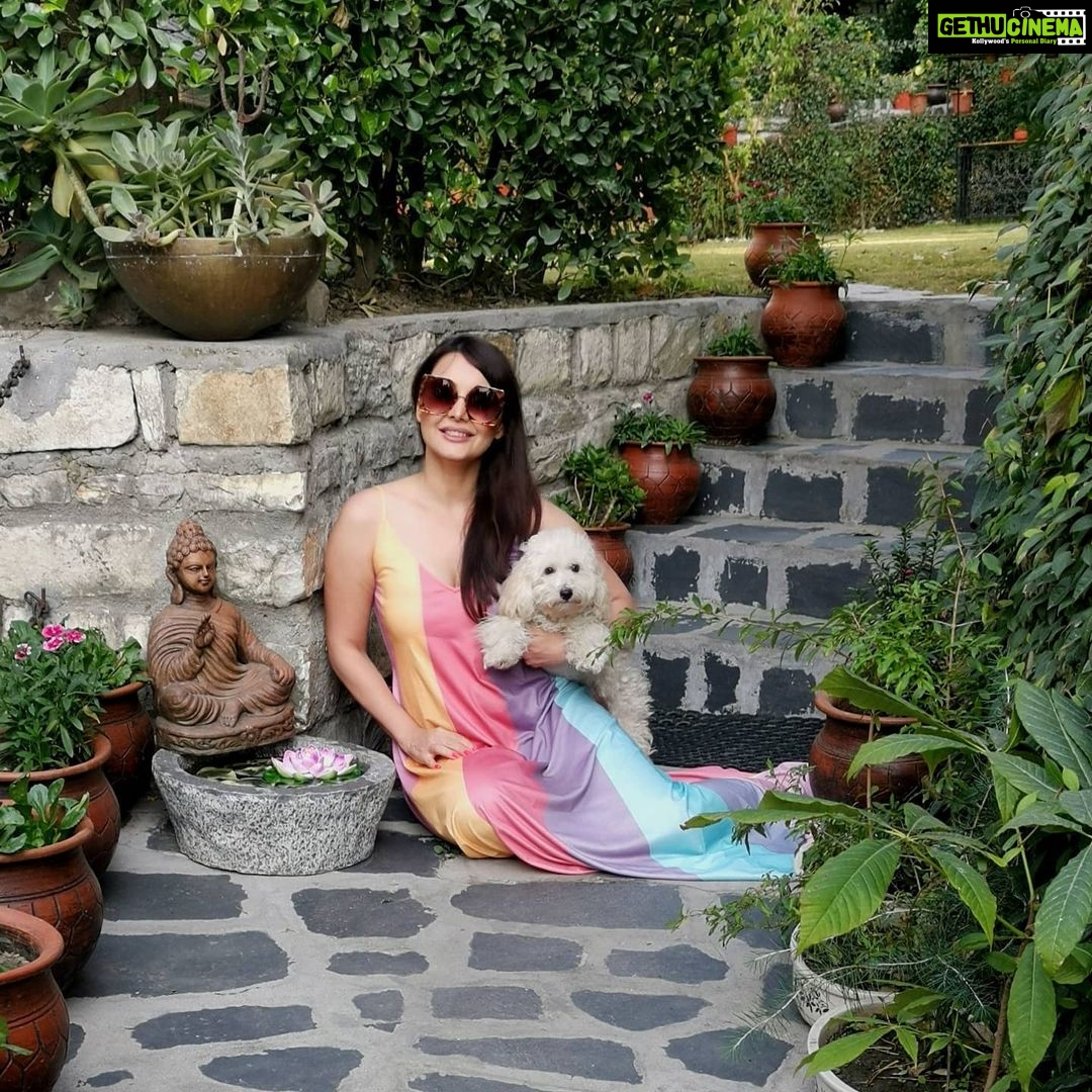 Minissha Lamba Instagram - One more from the Kiki file... . . . . . . . . . #travelling #travelphotography #vacation #mountain #nature #naturephotography #photooftheday #water #river #mountains #happy #photographer #poodle #toypoodle #poodlesofinstagram #poodlelove #frenchtoypoodle #kiki