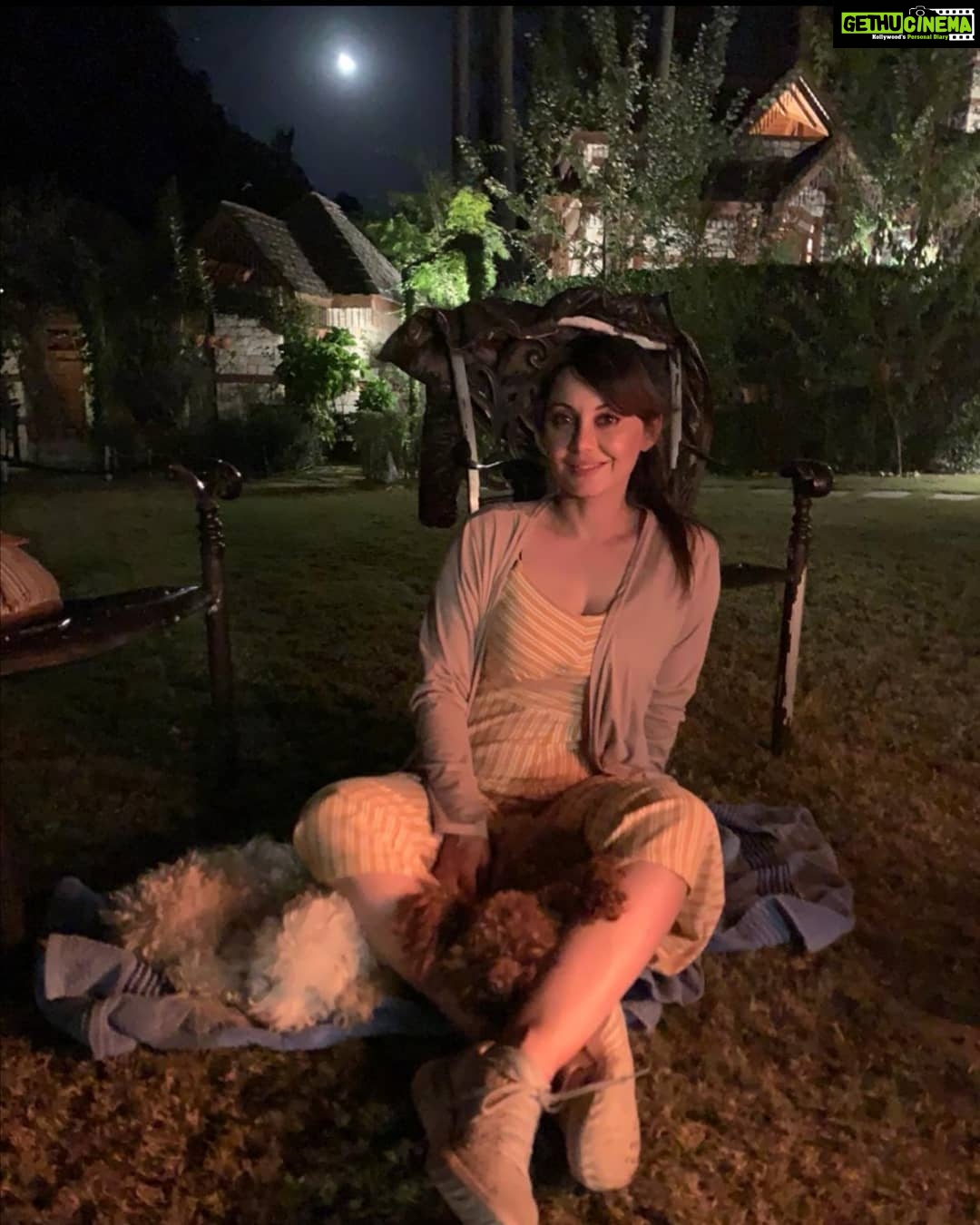 Minissha Lamba Instagram - Bonfire Night under the full moon sky