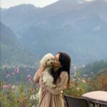 Minissha Lamba Instagram - Kiki and Mini ❤️ . . . . . . . . #mountain #nature #naturephotography #photooftheday #flowers #toypoodle #poodlesofinstagram #travel #travelphotography #love