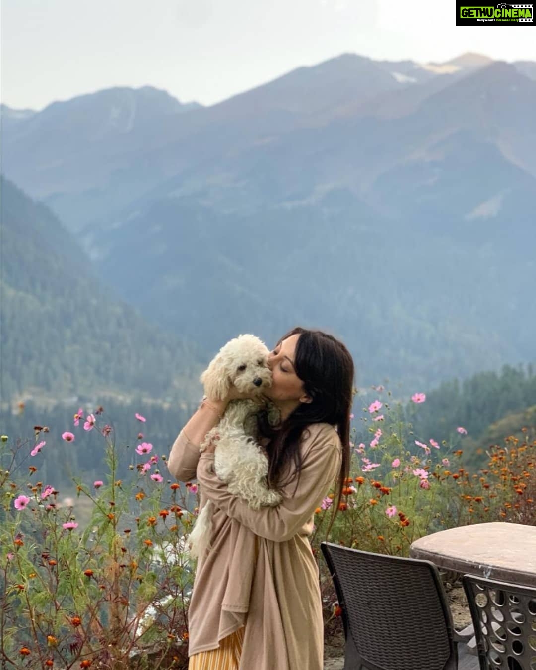Minissha Lamba Instagram - Kiki and Mini ❤️ . . . . . . . . #mountain #nature #naturephotography #photooftheday #flowers #toypoodle #poodlesofinstagram #travel #travelphotography #love