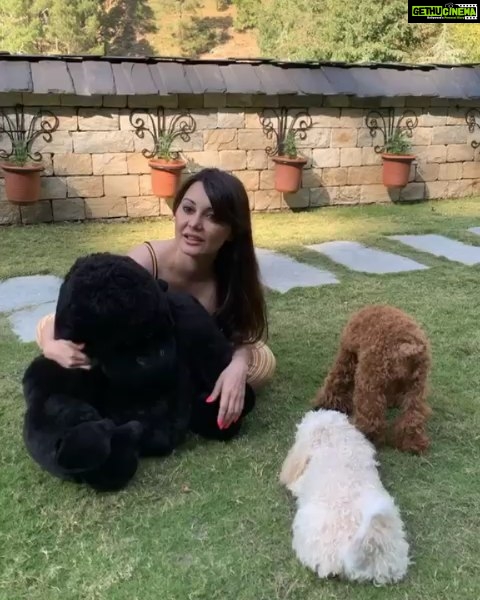 Minissha Lamba Instagram - Camera tricks 101