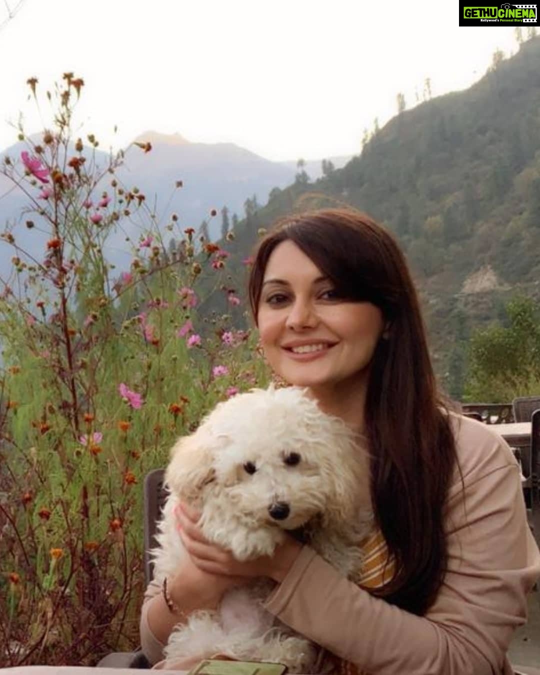 Minissha Lamba Instagram - Kiki and Mini ❤️ . . . . . . . . #mountain #nature #naturephotography #photooftheday #flowers #toypoodle #poodlesofinstagram #travel #travelphotography #love