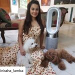 Minissha Lamba Instagram - Summer is here.. and it’s time to get my Dyson Pure Hot + Cool Purifier back in action. Purified Air Sleek Design ( as all Dyson products are) Optimal Utilisation of Space, in our Compact Mumbai Apartments The biggest fans ( pun unintended) are my sweet lil girls, who are glued to it all day! @dyson_india … thank you for sending this last year… it’s going to my all-year companion.. for years to come #ProperPurification #DysonIndia #DysonHealthyHomes Mumbai, Maharashtra