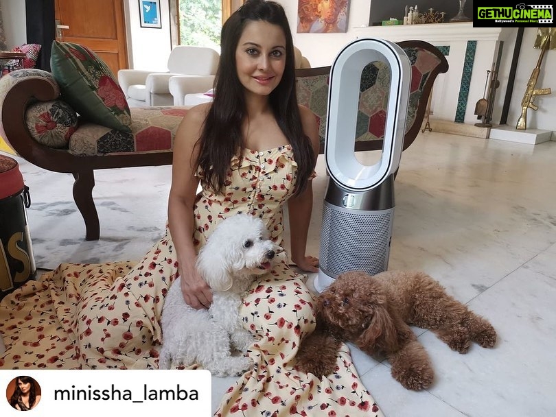Minissha Lamba Instagram - Summer is here.. and it’s time to get my Dyson Pure Hot + Cool Purifier back in action. Purified Air Sleek Design ( as all Dyson products are) Optimal Utilisation of Space, in our Compact Mumbai Apartments The biggest fans ( pun unintended) are my sweet lil girls, who are glued to it all day! @dyson_india … thank you for sending this last year… it’s going to my all-year companion.. for years to come #ProperPurification #DysonIndia #DysonHealthyHomes Mumbai, Maharashtra