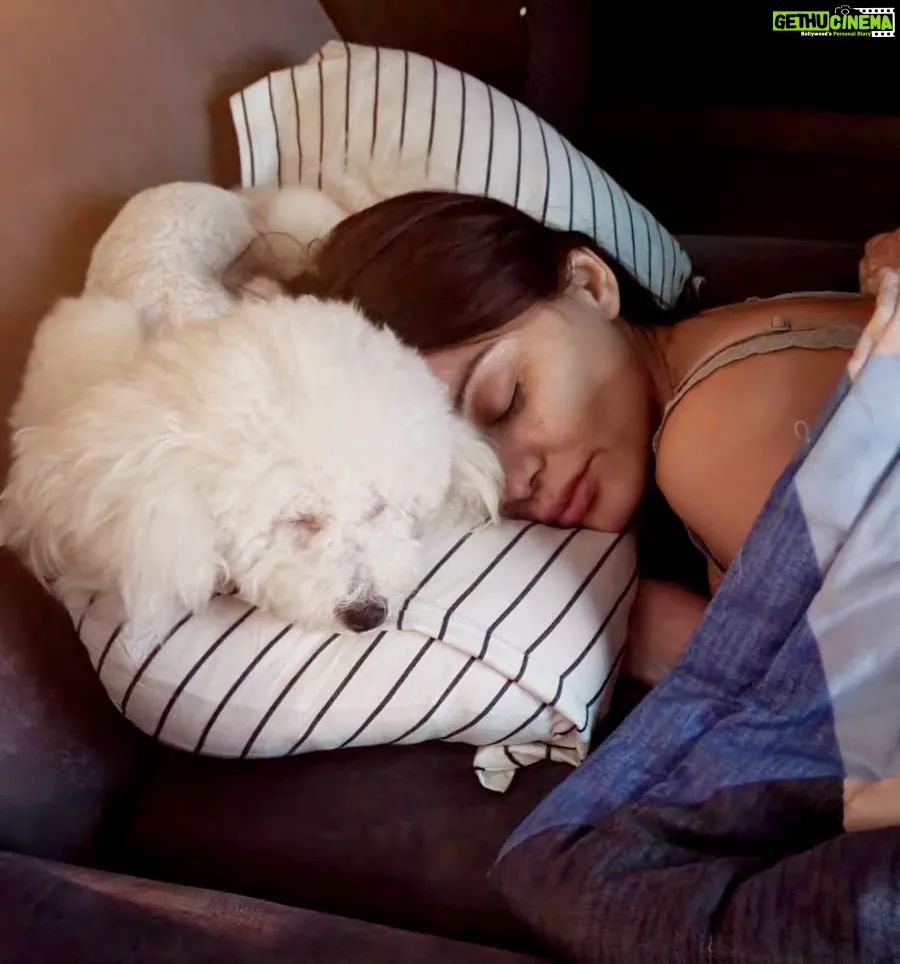 Minissha Lamba Instagram - Our pillow ❤️ Kiki + Mini