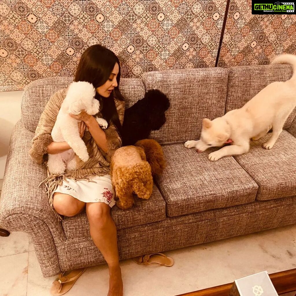 Minissha Lamba Instagram - With the cutest puppies in town... Biki..Kiki..Gigi and Phantom coming over to say . Happy Women's Day ladies .... #womensday Mumbai, Maharashtra