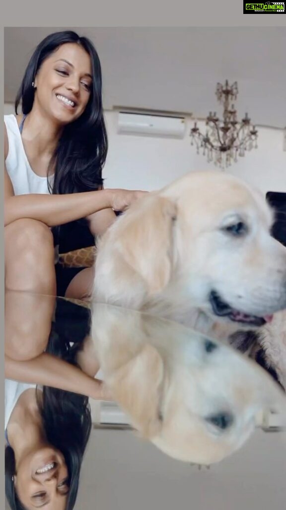 Mugdha Godse Instagram - This is closest I have come to these cute furry Beings… #hash He clearly not interested in filming! @rajattangriofficial well done Thank you for the video @najbava @nupurkanoi u r sweetest ❤❤❤