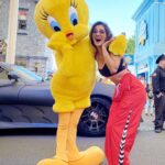 Mukti Mohan Instagram – We Taut we Taw a Dumb-Ass – Our response to all those roaming around without masks! BTW y’al ain’t helping letting this Pandemic leave us completely!! #TsjustTsayinn
Sitting at home in my PJs and posting my much awaited #Tweety🐥 Moment from @movieworldaus #AussieTrip #GoCoronaGo😷 #WishWeCanTravelAgainSoon 🌍🤞 Home Sweet Home ❤