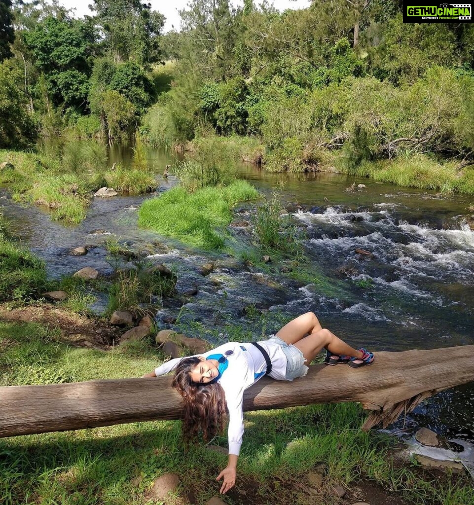 Mukti Mohan Instagram - A Stree on a tree by the stream! 🧘🏻‍♀️🌲🌊 @queensland @hummelindia @filaindia @saachivj Gold Coast, Queensland