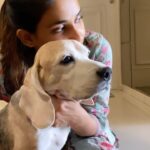 Mukti Mohan Instagram – 💔 Time doesn’t heal, it only gives you time to love deeper. 
It’s been 2months today, and not a day goes by without saying “thank you Frodo” for teaching me how to love selflessly. @neetimohan18 di, you brought the best gift into our lives 11 and a half years ago, our baby Frodo 🐶♾🤍
We’ll ALWAYS LOVE YOU.

🤍
we will meet again 💫