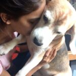 Mukti Mohan Instagram - Loving you changed my life.. the hardest part about losing you is not how I couldn’t say “the goodbye” but the emptiness I feel every day ♥️🏡🚪🔔 Eleven and half years of joy and memories you gave us, are not just in every corner of our home but in every fibre of our being, even present in our habits of expressing love towards each other. We had our own unspoken language, which I don’t know whom to share it with, now! Home and our hearts are empty without you my bacha. 💔🐶 You will always be the most precious jewel of our hearts♥️ Our GoodbOiii #Frodo 🐕 🐶💜