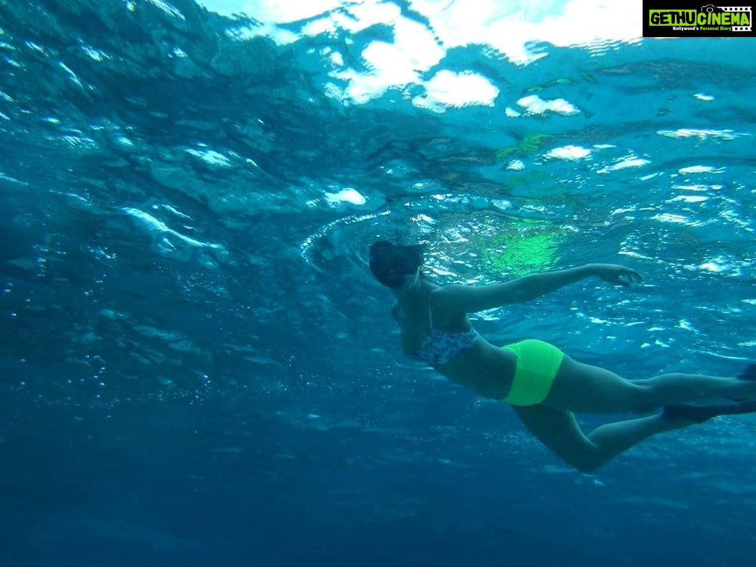 Mukti Mohan Instagram - Reality whistles a different tune underwater.. but in your gorgeous depth and silence some creatures were music to my eyes.. π’ π πNext time we will have a proper conversation, I promise βΎοΈ for this time some pictures are worth a reminder of how vast, gorgeous, unpredictable and unexplored our mother is π #blessed #blessedbeyondmeasure Until next time @mohanshakti @alishasingh.official P.S : This #2020TheAwakeningYear has made me way too aware and grateful for what I have yaar! Thank you for reading π