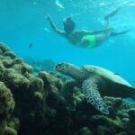 Mukti Mohan Instagram – Reality whistles a different tune underwater.. but in your gorgeous depth and silence some creatures were music to my eyes.. 🐢 🐠 🌊Next time we will have a proper conversation, I promise ♾️ for this time some pictures are worth a reminder of how vast, gorgeous, unpredictable and unexplored our mother is 🌍 #blessed #blessedbeyondmeasure 
 Until next time @mohanshakti
@alishasingh.official

P.S : This #2020TheAwakeningYear has made me way too aware and grateful for what I have yaar! Thank you for reading 🙏