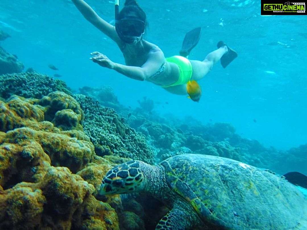 Mukti Mohan Instagram - Reality whistles a different tune underwater.. but in your gorgeous depth and silence some creatures were music to my eyes.. π’ π πNext time we will have a proper conversation, I promise βΎοΈ for this time some pictures are worth a reminder of how vast, gorgeous, unpredictable and unexplored our mother is π #blessed #blessedbeyondmeasure Until next time @mohanshakti @alishasingh.official P.S : This #2020TheAwakeningYear has made me way too aware and grateful for what I have yaar! Thank you for reading π