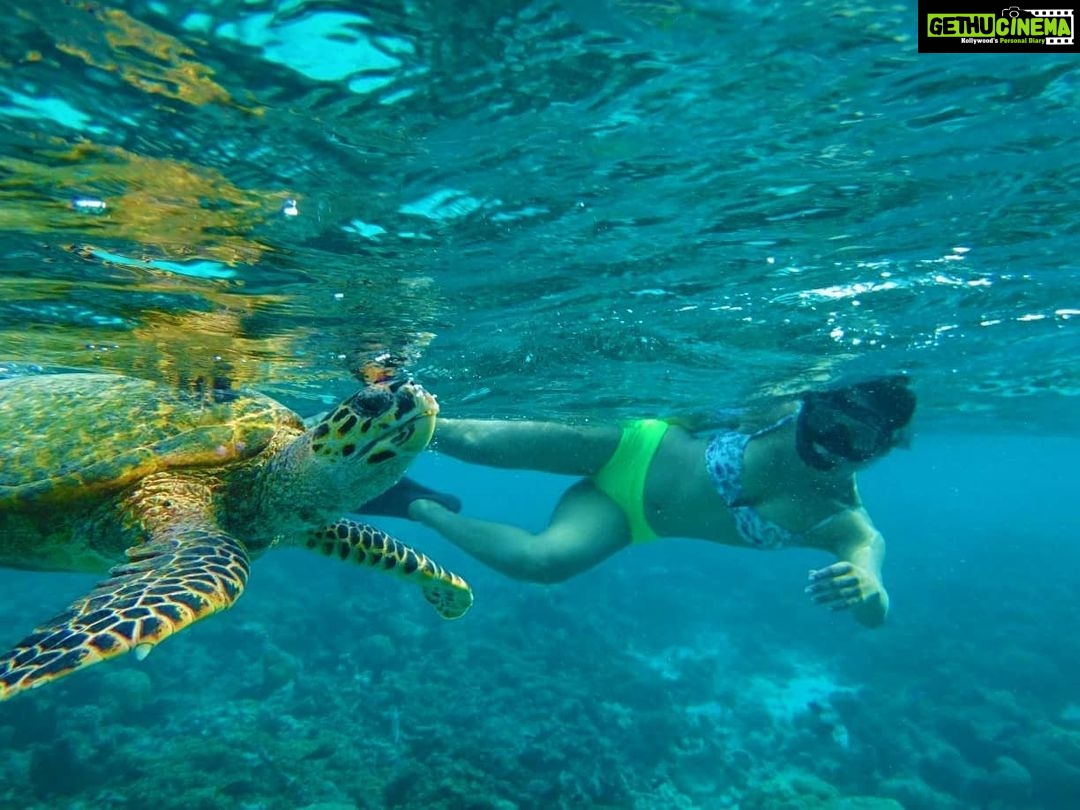 Mukti Mohan Instagram - Reality whistles a different tune underwater.. but in your gorgeous depth and silence some creatures were music to my eyes.. π’ π πNext time we will have a proper conversation, I promise βΎοΈ for this time some pictures are worth a reminder of how vast, gorgeous, unpredictable and unexplored our mother is π #blessed #blessedbeyondmeasure Until next time @mohanshakti @alishasingh.official P.S : This #2020TheAwakeningYear has made me way too aware and grateful for what I have yaar! Thank you for reading π