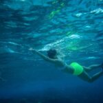 Mukti Mohan Instagram - Reality whistles a different tune underwater.. but in your gorgeous depth and silence some creatures were music to my eyes.. 🐢 🐠 🌊Next time we will have a proper conversation, I promise ♾️ for this time some pictures are worth a reminder of how vast, gorgeous, unpredictable and unexplored our mother is 🌍 #blessed #blessedbeyondmeasure Until next time @mohanshakti @alishasingh.official P.S : This #2020TheAwakeningYear has made me way too aware and grateful for what I have yaar! Thank you for reading 🙏