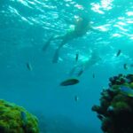 Mukti Mohan Instagram - Reality whistles a different tune underwater.. but in your gorgeous depth and silence some creatures were music to my eyes.. 🐢 🐠 🌊Next time we will have a proper conversation, I promise ♾️ for this time some pictures are worth a reminder of how vast, gorgeous, unpredictable and unexplored our mother is 🌍 #blessed #blessedbeyondmeasure Until next time @mohanshakti @alishasingh.official P.S : This #2020TheAwakeningYear has made me way too aware and grateful for what I have yaar! Thank you for reading 🙏