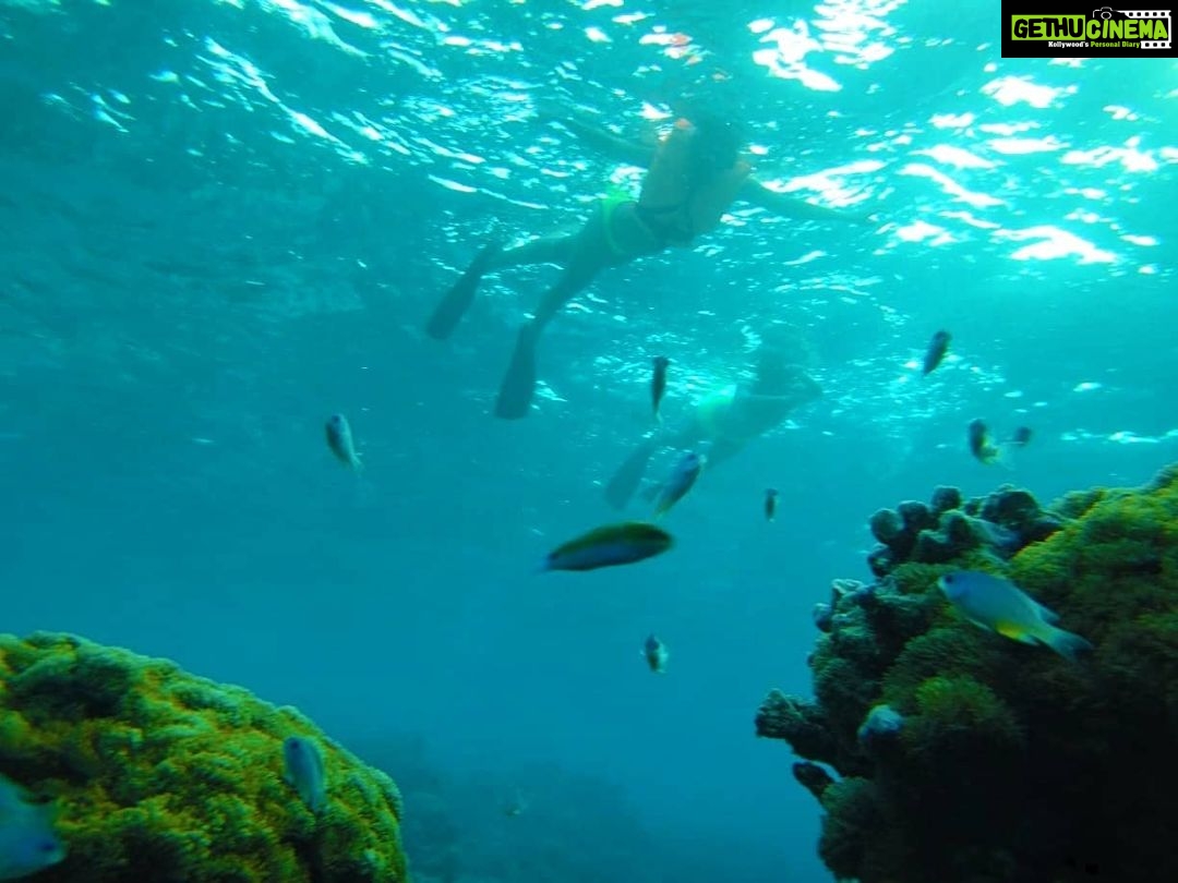 Mukti Mohan Instagram - Reality whistles a different tune underwater.. but in your gorgeous depth and silence some creatures were music to my eyes.. π’ π πNext time we will have a proper conversation, I promise βΎοΈ for this time some pictures are worth a reminder of how vast, gorgeous, unpredictable and unexplored our mother is π #blessed #blessedbeyondmeasure Until next time @mohanshakti @alishasingh.official P.S : This #2020TheAwakeningYear has made me way too aware and grateful for what I have yaar! Thank you for reading π