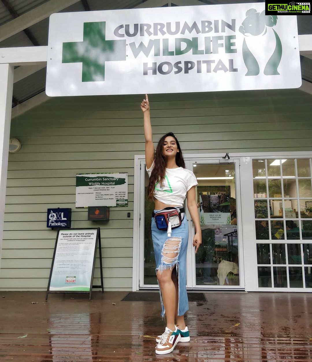 Mukti Mohan Instagram - The need to save our endangered species is real, we had the privilege to do our bit in Australia at the #CurumbinWildLifeSanctuary @neetimohan18 @nihaarpandya @mohanshakti In Jan'20, nearly 18 million acres of land was burnt and much of it was bushland, forests and national parks, wildlife organizations throughout Australia have been overrun with burnt and injured animals from the catastrophic bushfires devastating huge parts of the country. Humanity knows no border but with this boundless freedom comes great responsibility. Currumbin Wildlife Hospital is one of the busiest wildlife hospitals in the world. The hospital relies on community donations to support its work tirelessly treating, rehabilitating and releasing native wildlife. For more information or to donate to the hospital directly, please visit http://currumbinwildlifehospital.org.au/. Styled by @stylebysaachivj Shoes @filaindia Top @adk_avishidayalkalra Skirt @whatsyourfreak @viralmantra