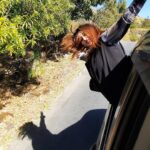 Nehalaxmi Iyer Instagram - (Vlog Link in bio) Sometimes candid & unfiltered pictures speak so much more than words can say!!🕊️ My New YouTube Vlog is out! We got a very Grand Traditional welcome. Check out our cave suite interiors & must visit places in MountAbu . . . #youtube #youtubechannel #travelvlog #travel #rajasthan #india #mountabu #mountabudiaries #mountabutrip #familyvlog #shaktipeeth #navratri #travelindia #travelgram #explore #ishqbaaz #travelling #travelcreator #travelinspo #indiantraveller #indiantravelblogger #vlog Mount Abu