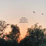 Nehalaxmi Iyer Instagram – ~ Relax • You got this • Breathe ~ India
