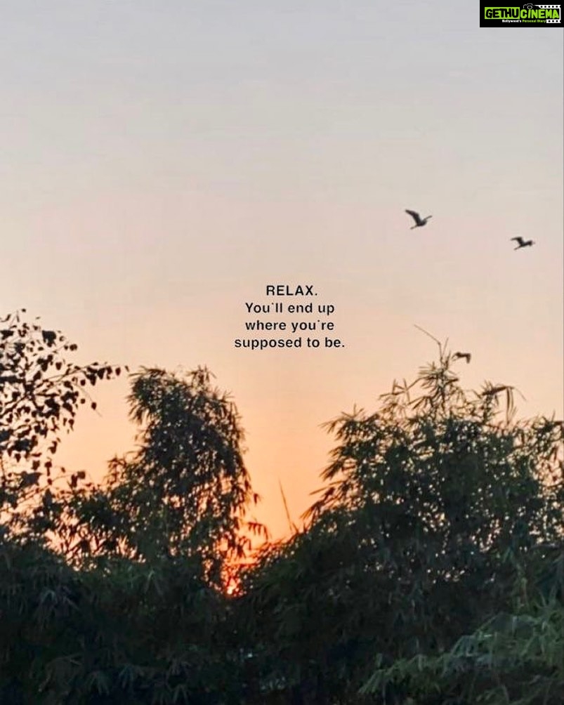 Nehalaxmi Iyer Instagram - ~ Relax • You got this • Breathe ~ India