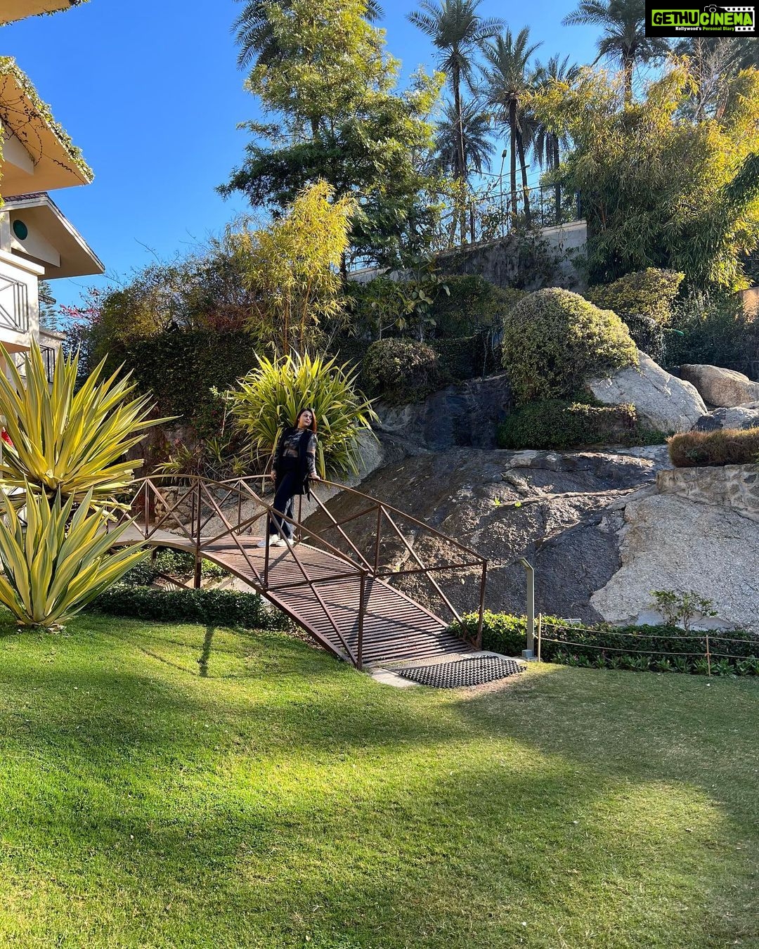 Nehalaxmi Iyer Instagram - Spot me in these pictures 🥰 Pretty much one with Nature, so much that I’m literally camouflaging. 📍 Mount Abu @hilltonehotel . . . . . . . . . . . #naturelovers #greenery #naturetravel #naturetrail #travelgram #travelindia #rajasthan #wanderlust #wanderlustindia #indian #mountabu #mountabudiaries #mountains #mountainsarecalling #explore #ishqbaaz #traveller #offbeattravel #travelcontentcreator #travelphotography #travelindiagram #camouflage #instadailyphoto #instagood #instalove #valentines #valentineday Mount Aabu,Rajastan