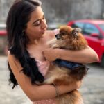 Niyati Fatnani Instagram - So much of cuteness🐶🥹🐾❤️ . . . . . #doggo #love #puresoul #adorable #cuteness #overloaded #onset #visitor #dearishq #niyatifatnani
