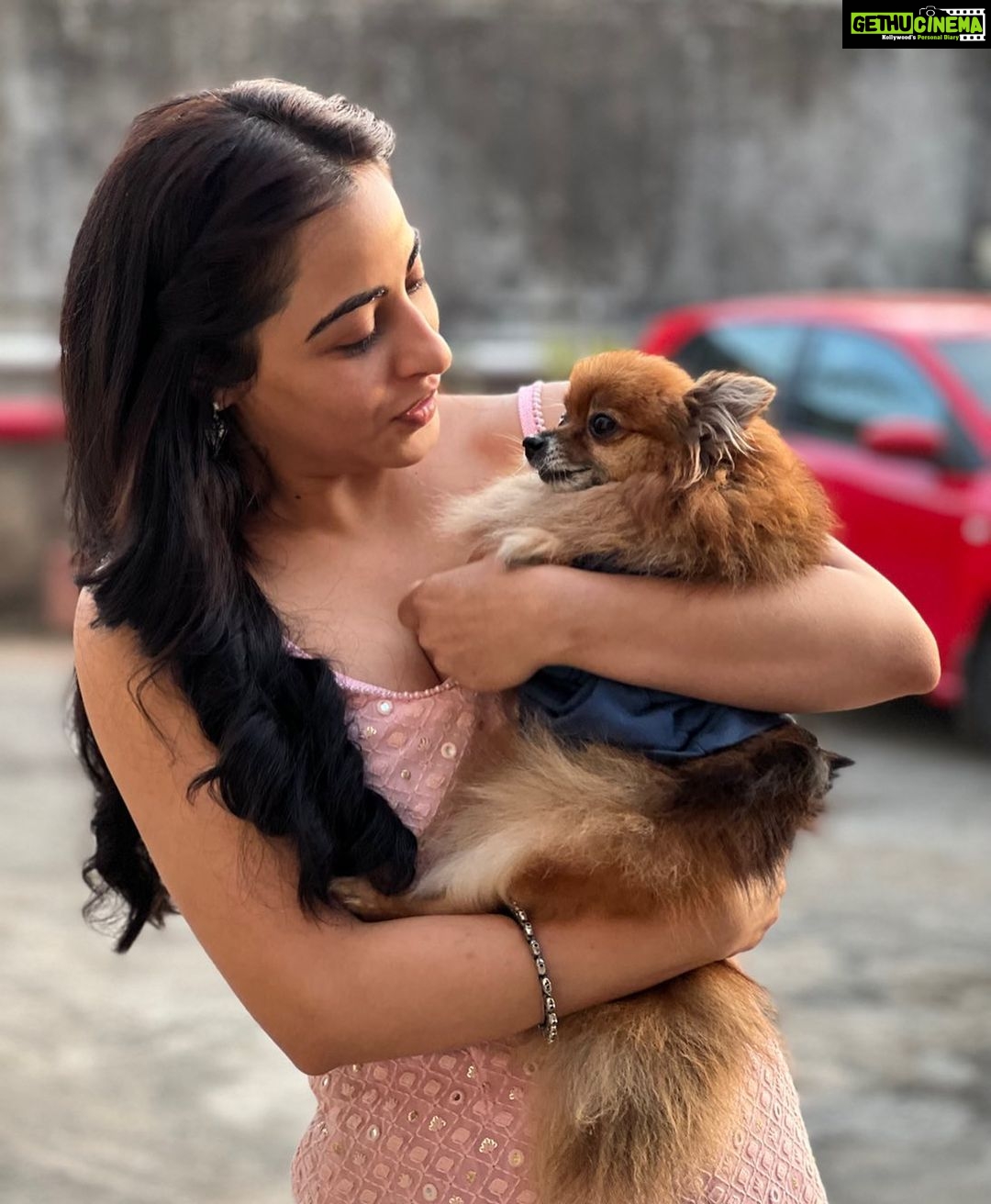 Niyati Fatnani Instagram - So much of cuteness🐶🥹🐾❤️ . . . . . #doggo #love #puresoul #adorable #cuteness #overloaded #onset #visitor #dearishq #niyatifatnani