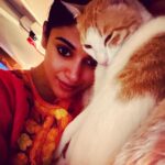 Oviya Instagram - Meow 🐈