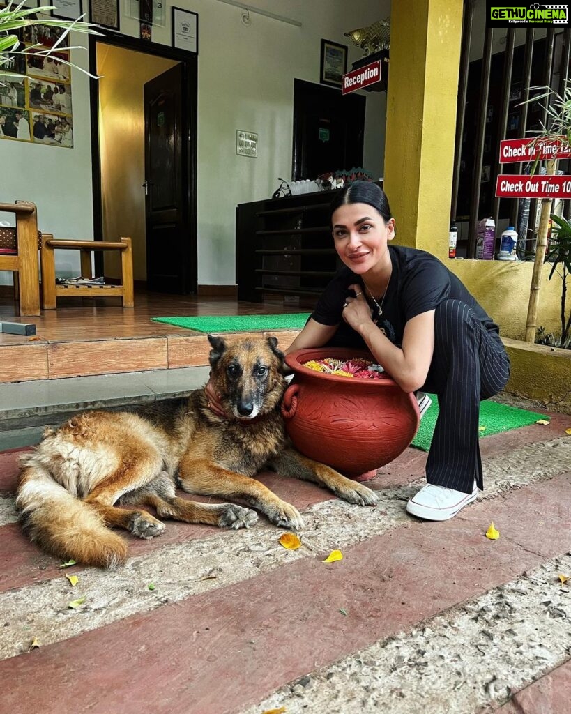 Pavitra Punia Instagram - This is Alex #thegermanshepard . He is 12 year old strong boi. I met him @rutu_farm . Alex and me became friends , I gave some sun bathing bath 🧼 to Alex. I tried to keep Alex in my room but he dint come Instead he preferred to be right outside my room. I gave some massage to Alex and Alex felt like a Lalaland boi. #happyalex #pavitrapunia #friends P.S - it was quite hectic but wonderful shoot schedule. #outdoorshooting #pavvitrapunia Rutu Farm, Wai, Maharashtra