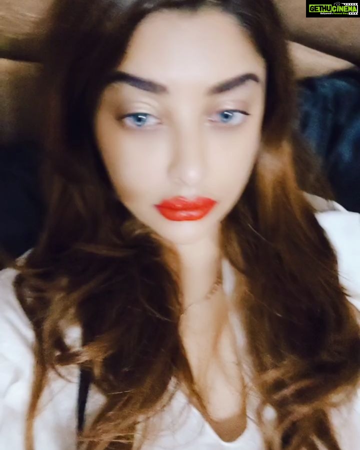 Payal Ghosh Instagram - @iamsrk #chuva 🖤🖤why you had to make me so romantic, why??? Why you taught me through your films Pyar ek hi baarhota hai,, Why??? #iworewhite #love 🖤🖤 #haimainmarjawan #Srk #srkian