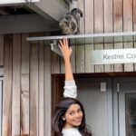 Pooja Sawant Instagram - That’s me whenever I see a cat 🐈 #catperson
