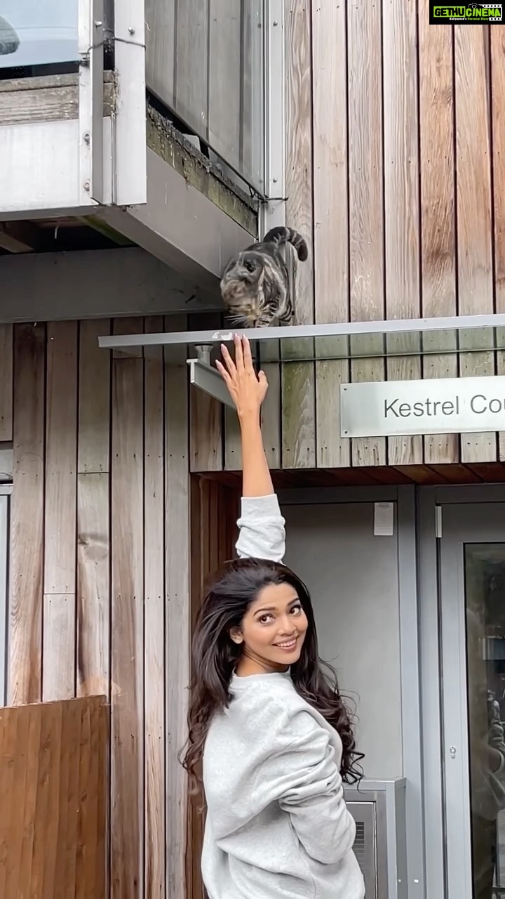 Pooja Sawant Instagram - That’s me whenever I see a cat 🐈 #catperson