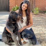 Pooja Sawant Instagram - I Couldn’t resist clicking a picture with this handsome furry friend ♥️ 🐩 London, Unιted Kingdom