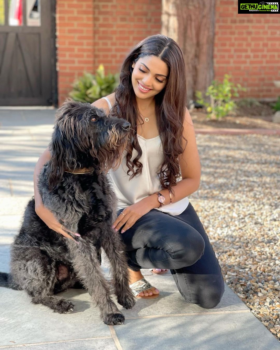 Pooja Sawant Instagram - I Couldn’t resist clicking a picture with this handsome furry friend ♥️ 🐩 London, Unιted Kingdom