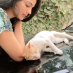 Pooja Sawant Instagram – I made a new friend this winter morning ❄️❄️❄️
Grateful to be around pure souls 🐈
#adoptdontshop 
#adoptindies 
#joshmarathi 
#officialjoshapp 
#joshapp 
@josh.marathi 
@officialjoshapp