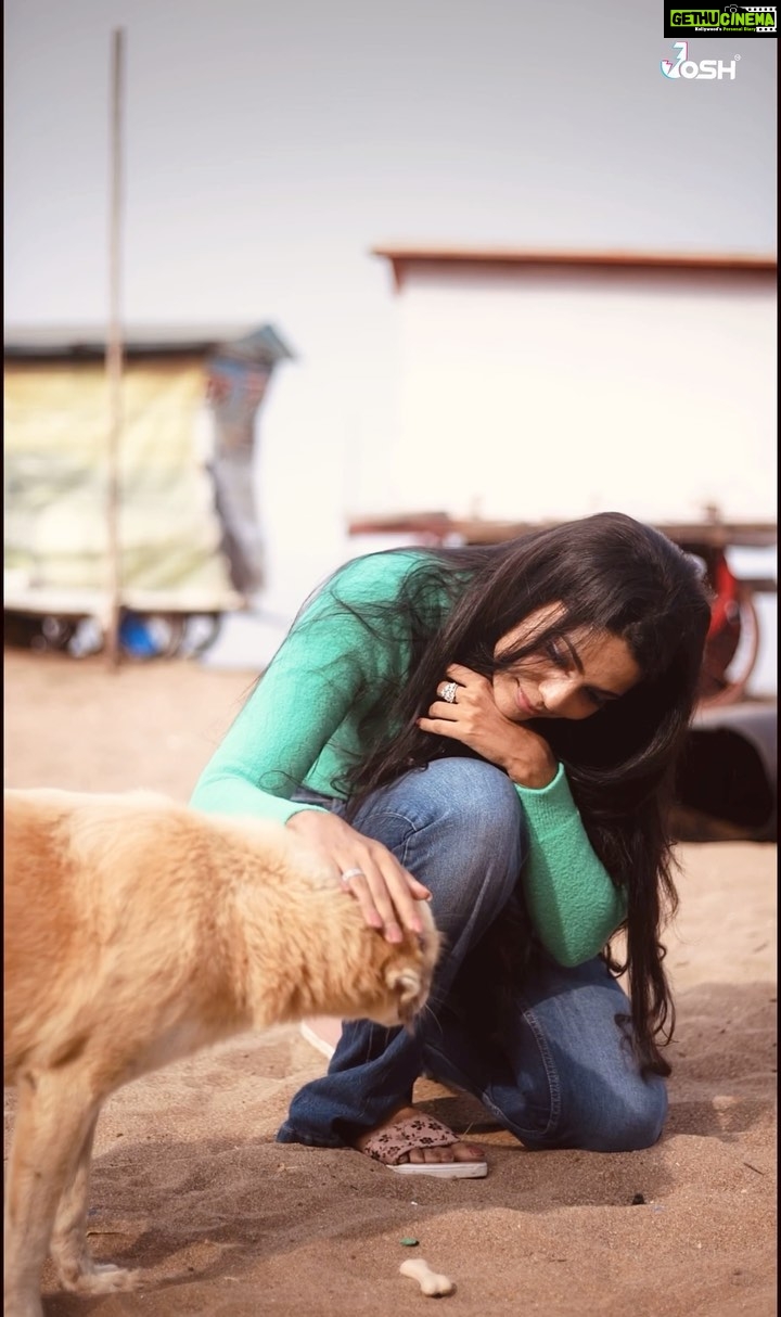 Pooja Sawant Instagram - It has to be a perfect weekend morning 🌸 We all need somewhere or someone where we feel safe . I always feel safe and at peace when I am around these beautiful souls ♥️ Adopt them 🐕🐈... they will keep you safe 💫 #poojasawant #joshapp #joshappofficial #joshmarathi @josh.marathi @officialjoshapp