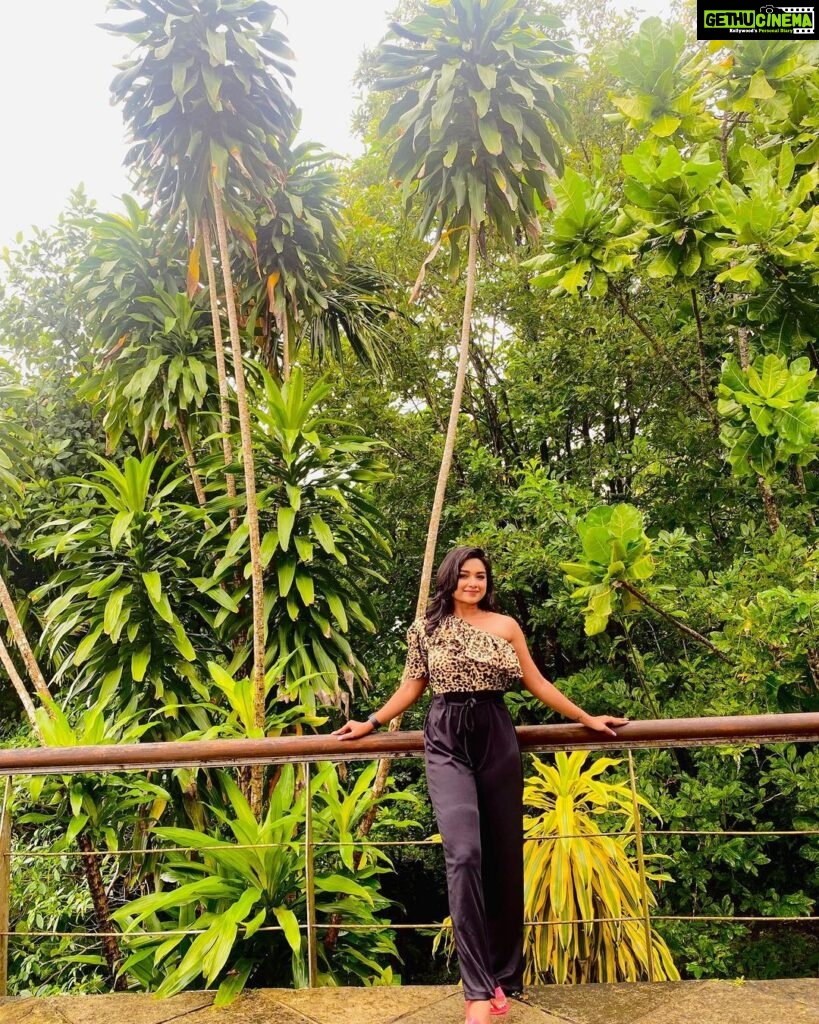 Preethi Sharma Instagram - “Let nature nurture your soul “..🤎💚 #preelovesyou☮️ #greenlove #travelling #goa #workaholic Assonora, Goa, India