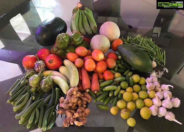 Preeti Jhangiani Instagram - Thank you @saameerathavale for the wonderful #organic bounty! #shopforchangefairtrade India’s first Farm Fresh Fair Trade supply chain all across Mumbai!
