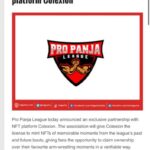 Preeti Jhangiani Instagram - We at the @propanjaleague are thrilled to partner with @colexion.nft .. Read the full article ! #linkinbio #nft #nftart #nfts